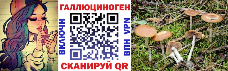Псилоцибиновые грибы MAGIC MUSHROOMS  Карабаново 
